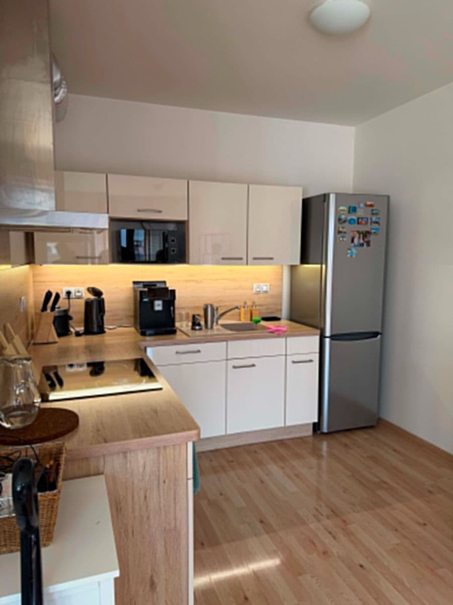 1 bedroom with open-plan kitchen flat to rent, 64 m², Kigginsova, Brno, Jihomoravský Region 1 bedroom with open-plan kitchen flat to rent, 64 m², Kigginsova, Brno, Jihomoravský Region