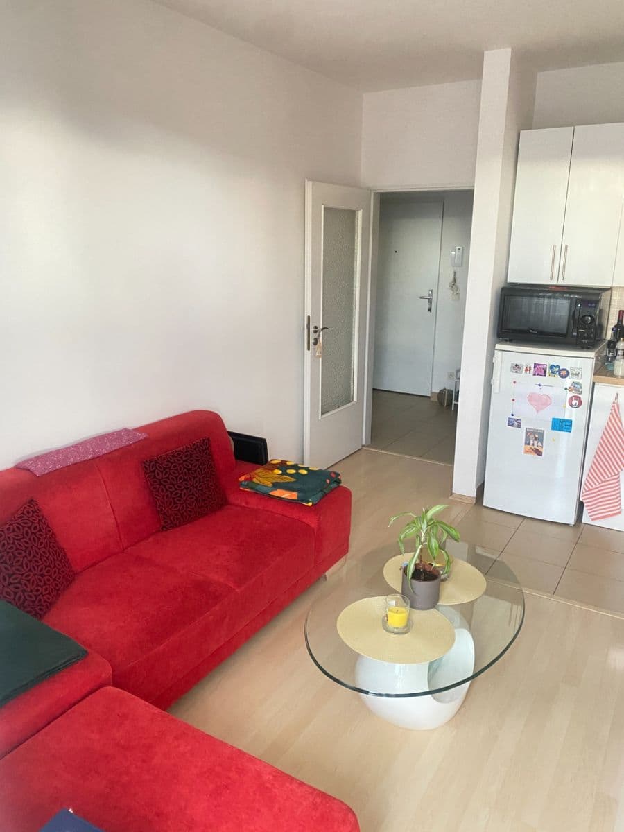1 bedroom with open-plan kitchen flat to rent, 41 m², Novobohdalecká, Prague, Prague 1 bedroom with open-plan kitchen flat to rent, 41 m², Novobohdalecká, Prague, Prague