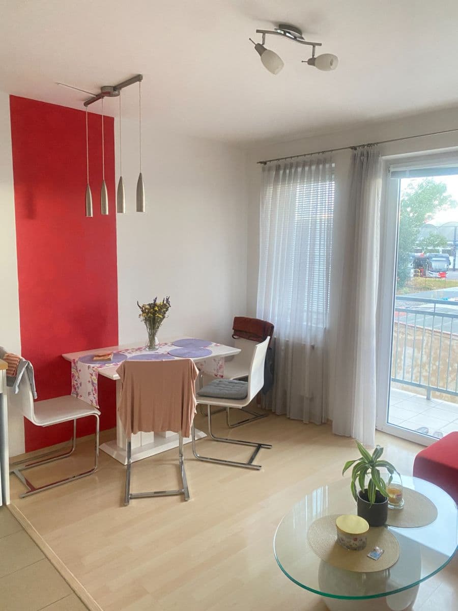 1 bedroom with open-plan kitchen flat to rent, 41 m², Novobohdalecká, Prague, Prague 1 bedroom with open-plan kitchen flat to rent, 41 m², Novobohdalecká, Prague, Prague