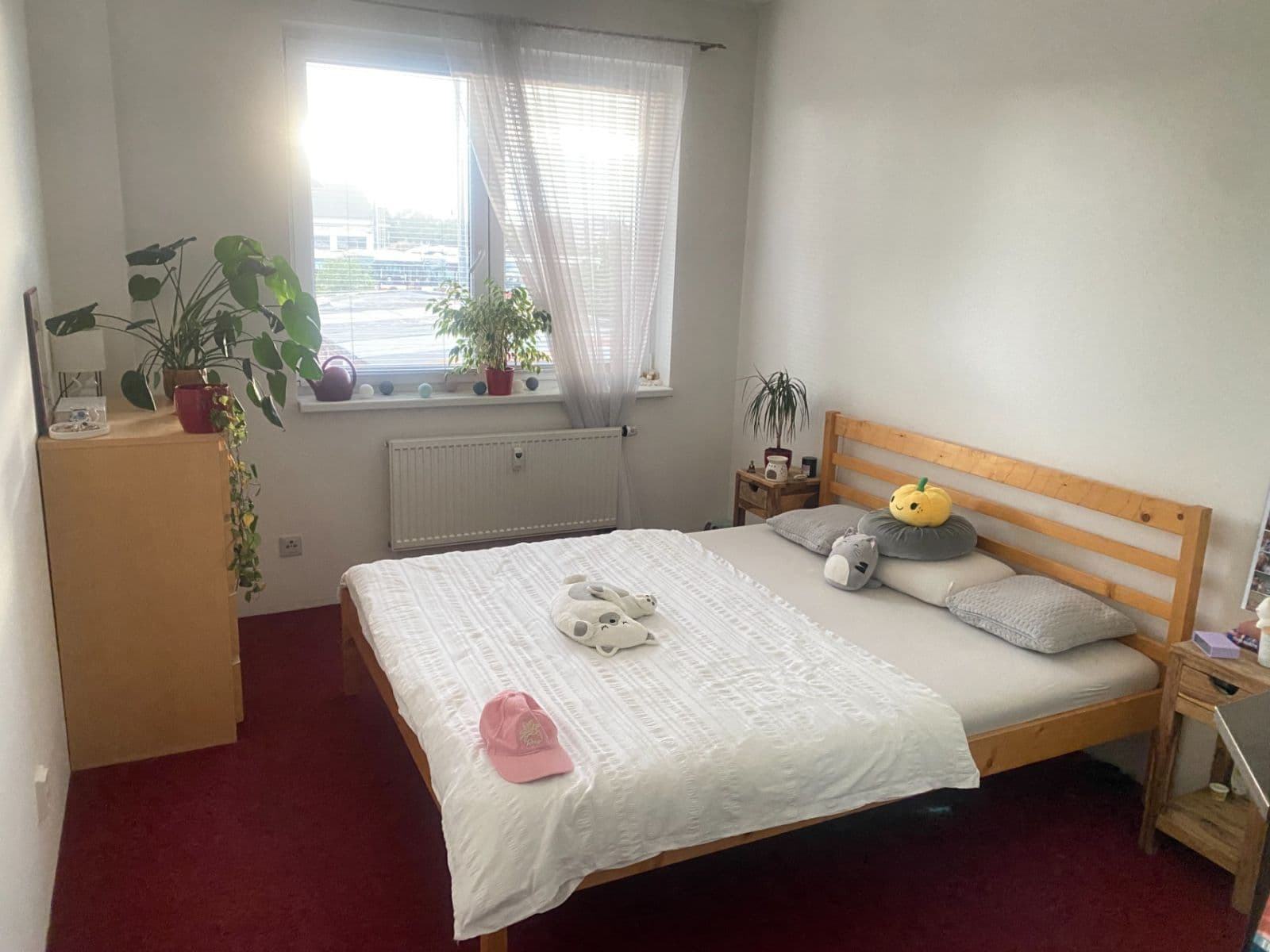 1 bedroom with open-plan kitchen flat to rent, 41 m², Novobohdalecká, Prague, Prague 1 bedroom with open-plan kitchen flat to rent, 41 m², Novobohdalecká, Prague, Prague