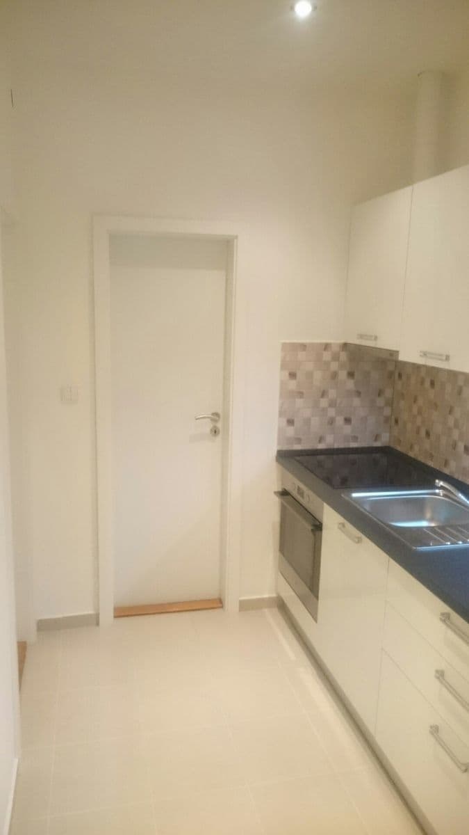 1 bedroom with open-plan kitchen flat to rent, 54 m², Na Veselí, Prague, Prague 1 bedroom with open-plan kitchen flat to rent, 54 m², Na Veselí, Prague, Prague