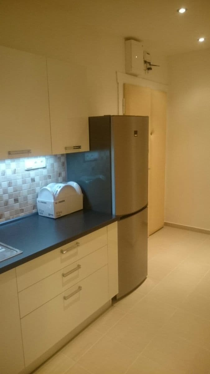1 bedroom with open-plan kitchen flat to rent, 54 m², Na Veselí, Prague, Prague 1 bedroom with open-plan kitchen flat to rent, 54 m², Na Veselí, Prague, Prague
