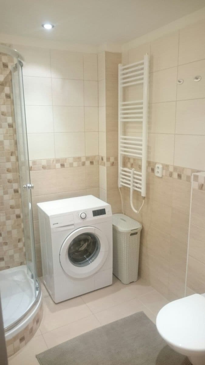 1 bedroom with open-plan kitchen flat to rent, 54 m², Na Veselí, Prague, Prague 1 bedroom with open-plan kitchen flat to rent, 54 m², Na Veselí, Prague, Prague