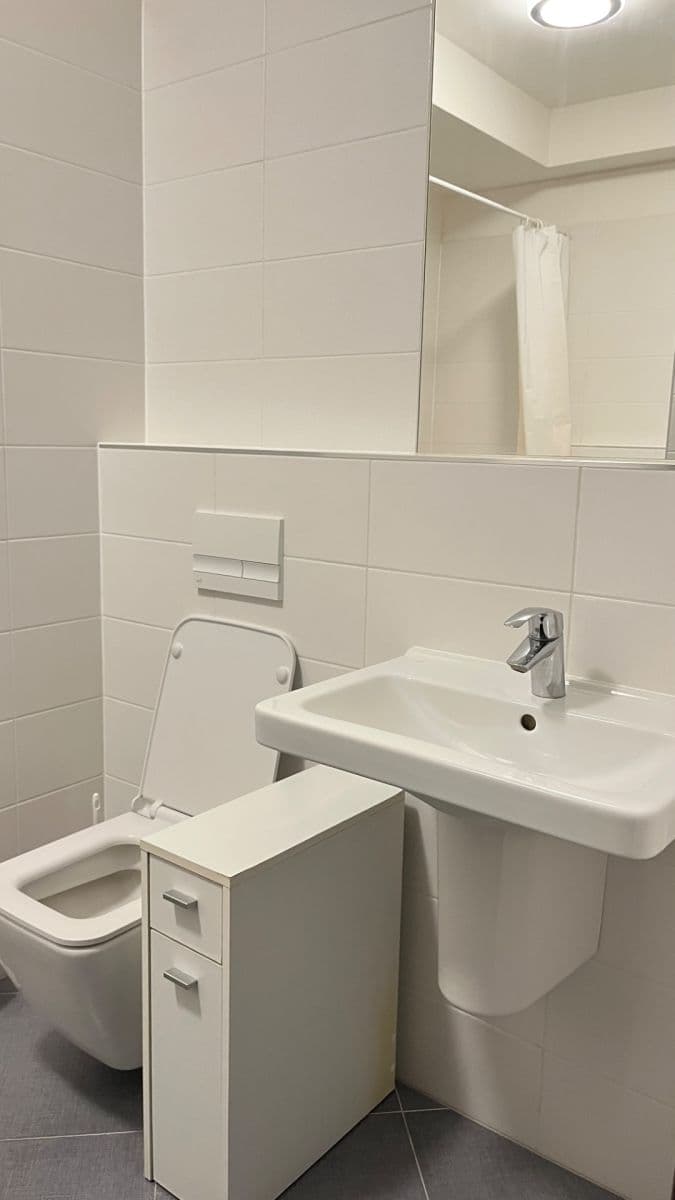 Studio flat to rent, 33 m², Makedonská, Prague, Prague Studio flat to rent, 33 m², Makedonská, Prague, Prague