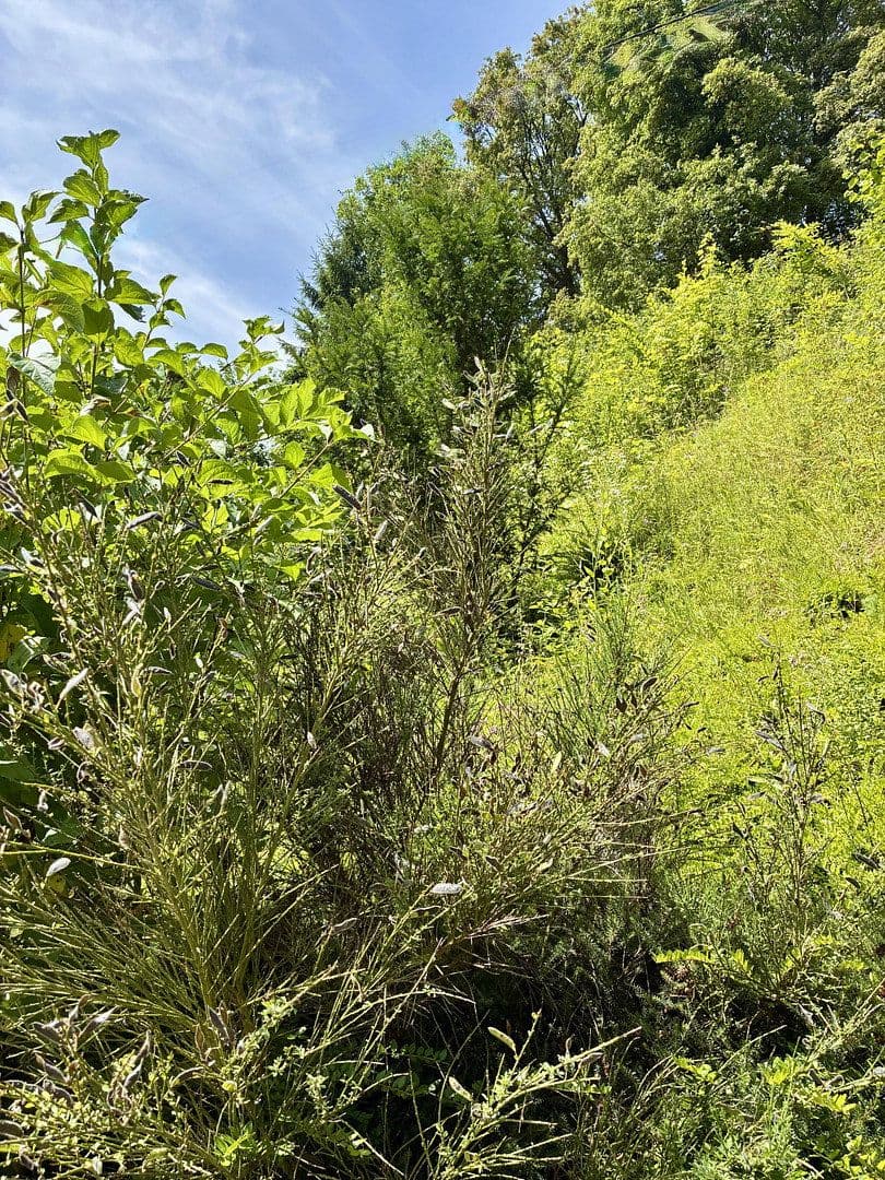 house for sale, 163 m², Schoppachstr.5, Rehlingen-Siersburg, Saarland house for sale, 163 m², Schoppachstr.5, Rehlingen-Siersburg, Saarland