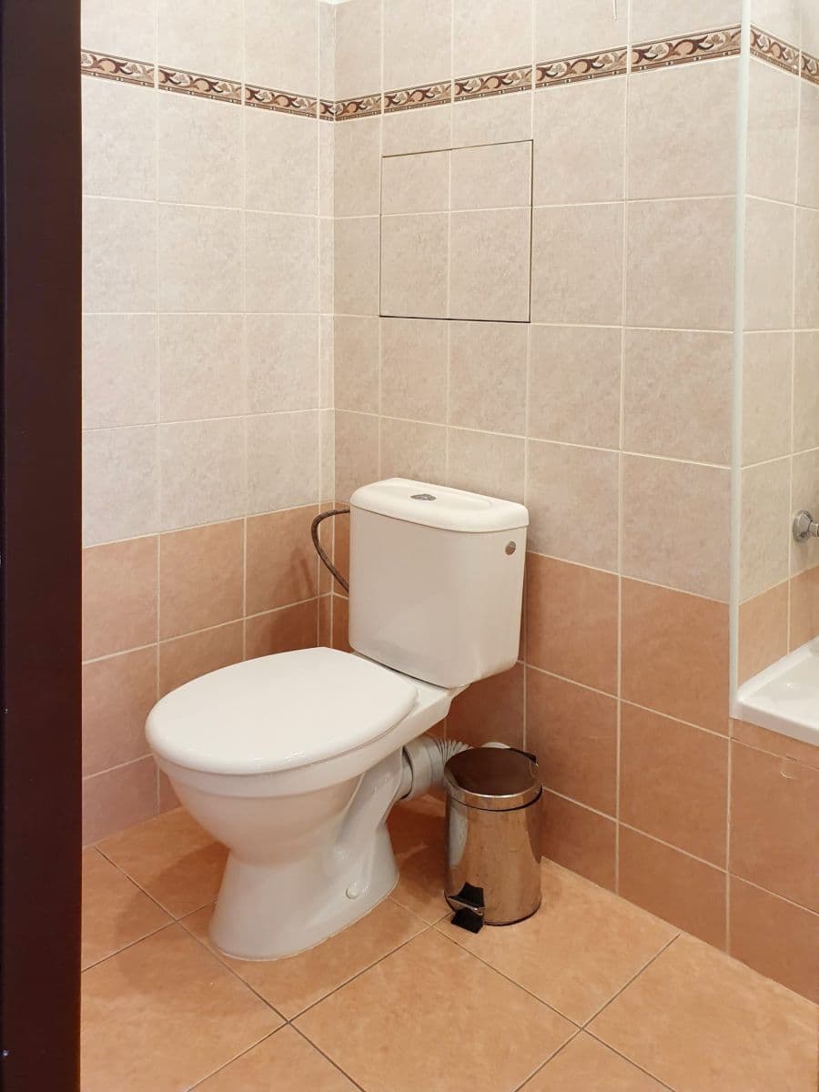 1 bedroom with open-plan kitchen flat to rent, 47 m², Československé armády, Lysá nad Labem, Středočeský Region 1 bedroom with open-plan kitchen flat to rent, 47 m², Československé armády, Lysá nad Labem, Středočeský Region
