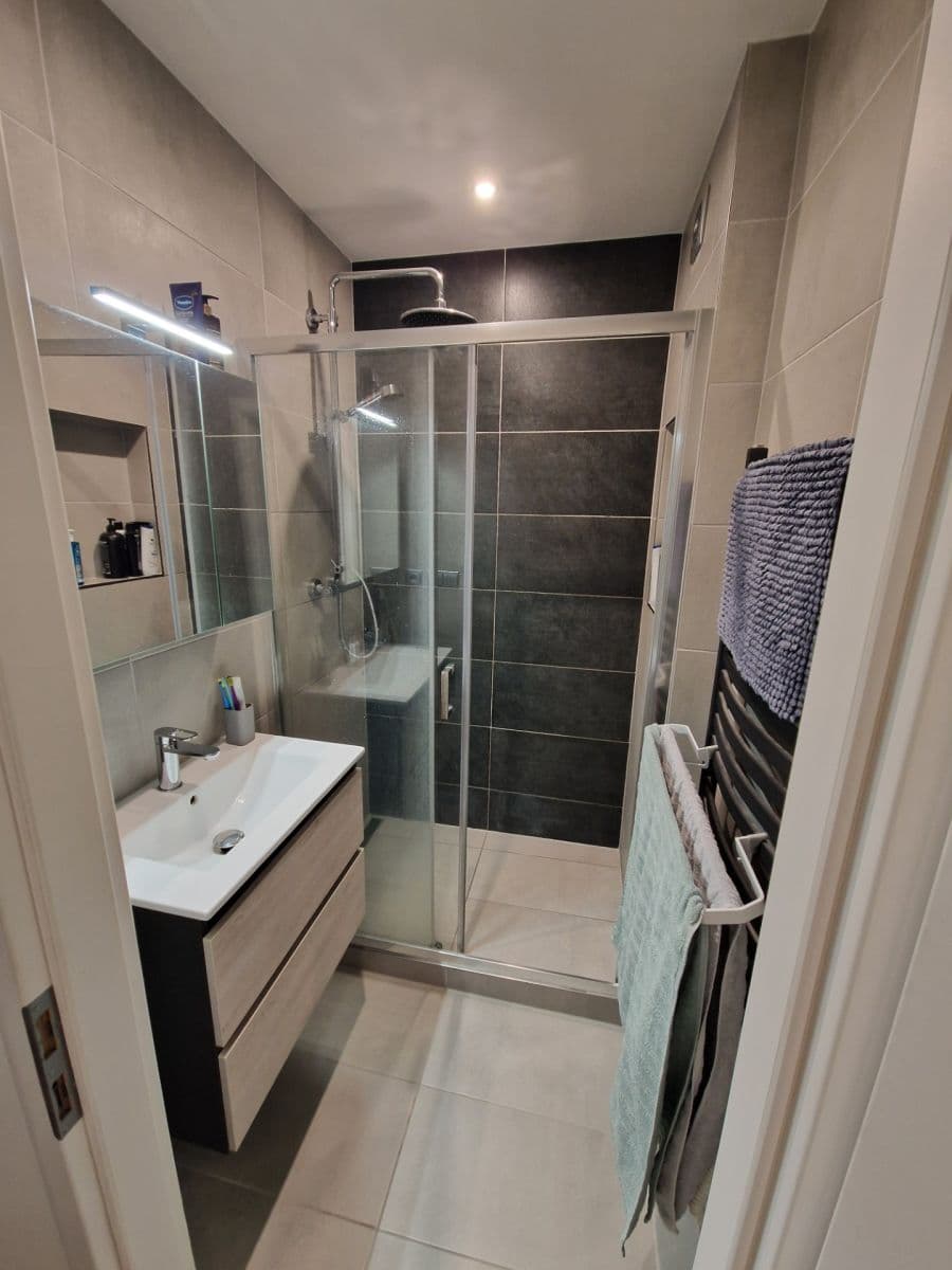 1 bedroom with open-plan kitchen flat to rent, 41 m², Na Strži, Prague, Prague 1 bedroom with open-plan kitchen flat to rent, 41 m², Na Strži, Prague, Prague