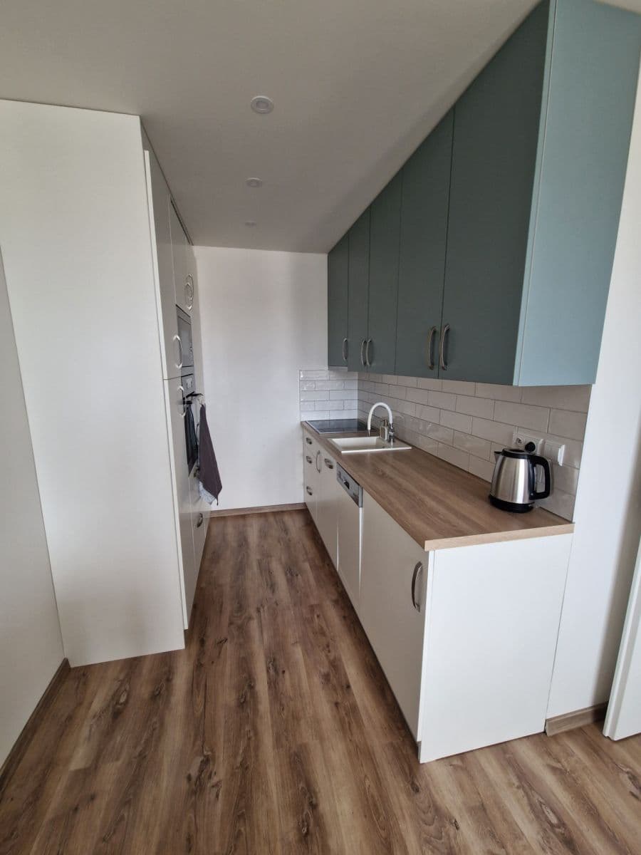 1 bedroom with open-plan kitchen flat to rent, 41 m², Na Strži, Prague, Prague 1 bedroom with open-plan kitchen flat to rent, 41 m², Na Strži, Prague, Prague