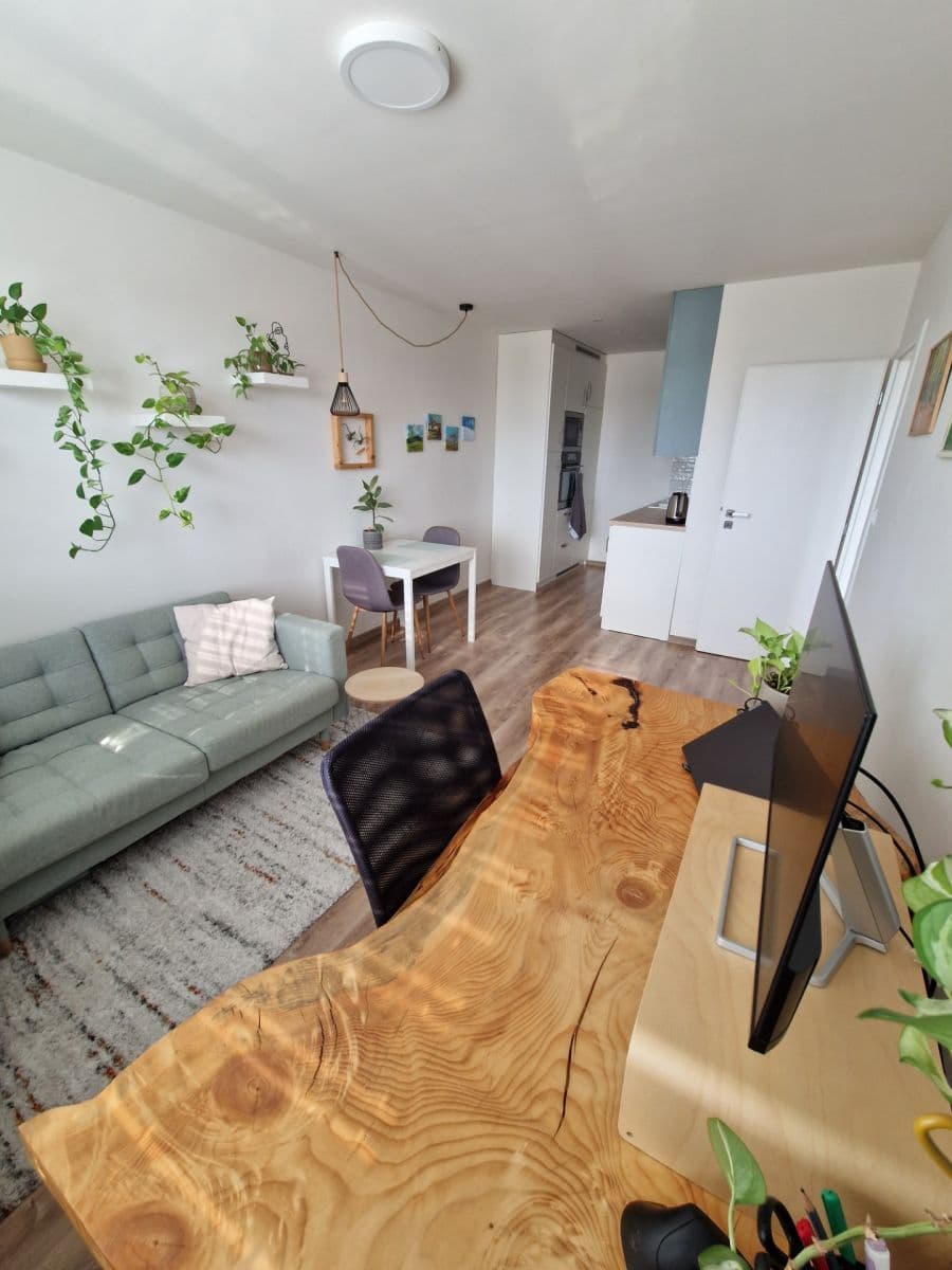 1 bedroom with open-plan kitchen flat to rent, 41 m², Na Strži, Prague, Prague 1 bedroom with open-plan kitchen flat to rent, 41 m², Na Strži, Prague, Prague