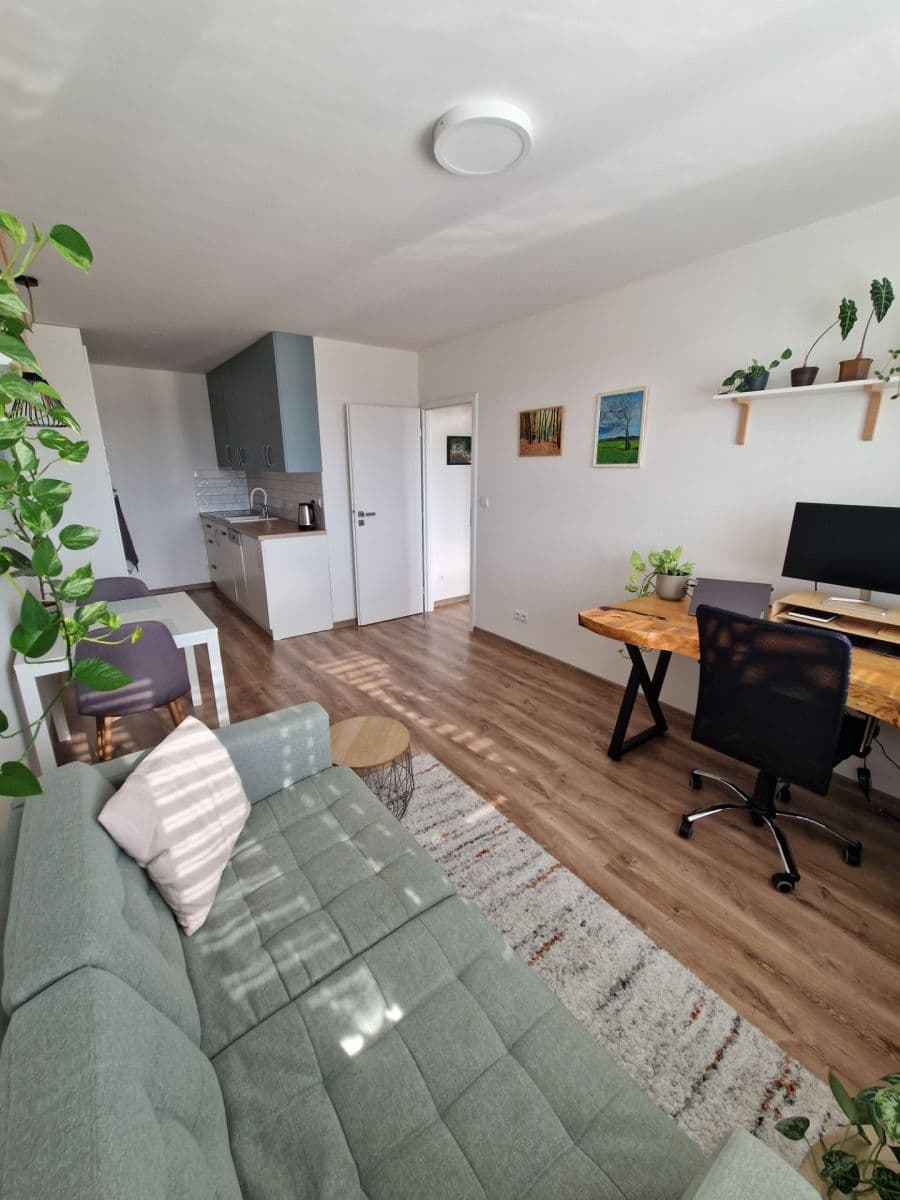 1 bedroom with open-plan kitchen flat to rent, 41 m², Na Strži, Prague, Prague 1 bedroom with open-plan kitchen flat to rent, 41 m², Na Strži, Prague, Prague