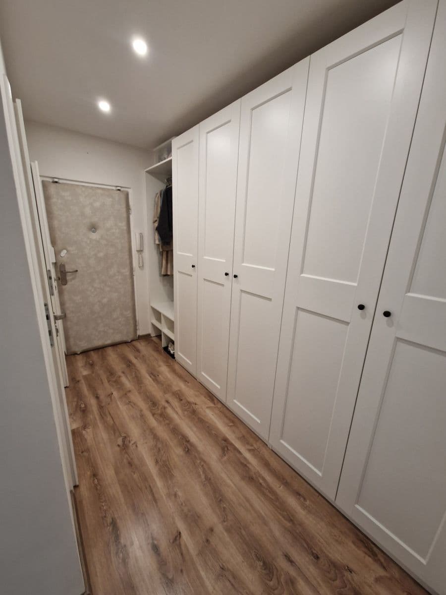 1 bedroom with open-plan kitchen flat to rent, 41 m², Na Strži, Prague, Prague 1 bedroom with open-plan kitchen flat to rent, 41 m², Na Strži, Prague, Prague