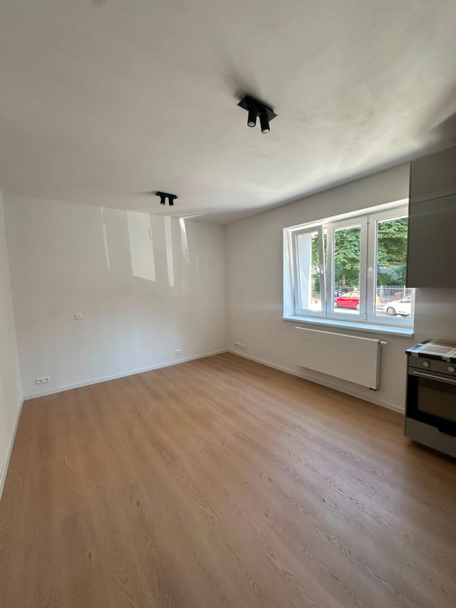 Studio flat to rent, 29 m², Pod Drinopolem, Prague, Prague Studio flat to rent, 29 m², Pod Drinopolem, Prague, Prague