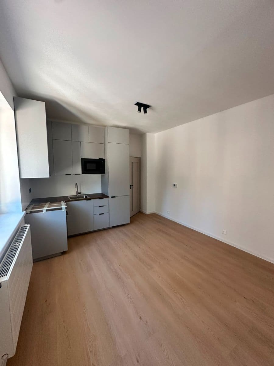 Studio flat to rent, 29 m², Pod Drinopolem, Prague, Prague Studio flat to rent, 29 m², Pod Drinopolem, Prague, Prague
