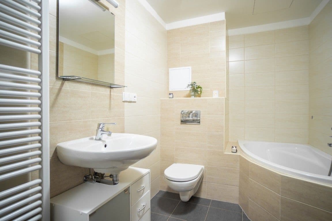 1 bedroom with open-plan kitchen flat to rent, 55 m², Špačková, Plzeň, Plzeňský Region 1 bedroom with open-plan kitchen flat to rent, 55 m², Špačková, Plzeň, Plzeňský Region