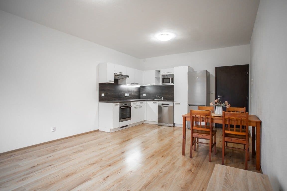1 bedroom with open-plan kitchen flat to rent, 55 m², Špačková, Plzeň, Plzeňský Region 1 bedroom with open-plan kitchen flat to rent, 55 m², Špačková, Plzeň, Plzeňský Region