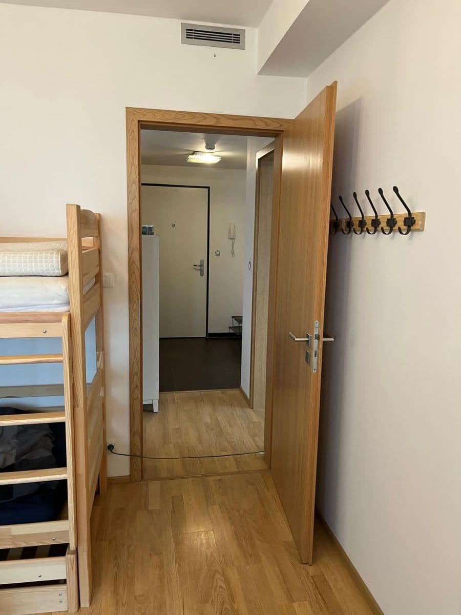2 bedroom with open-plan kitchen flat to rent, 68 m², Nepomuckých, Prague, Prague 2 bedroom with open-plan kitchen flat to rent, 68 m², Nepomuckých, Prague, Prague