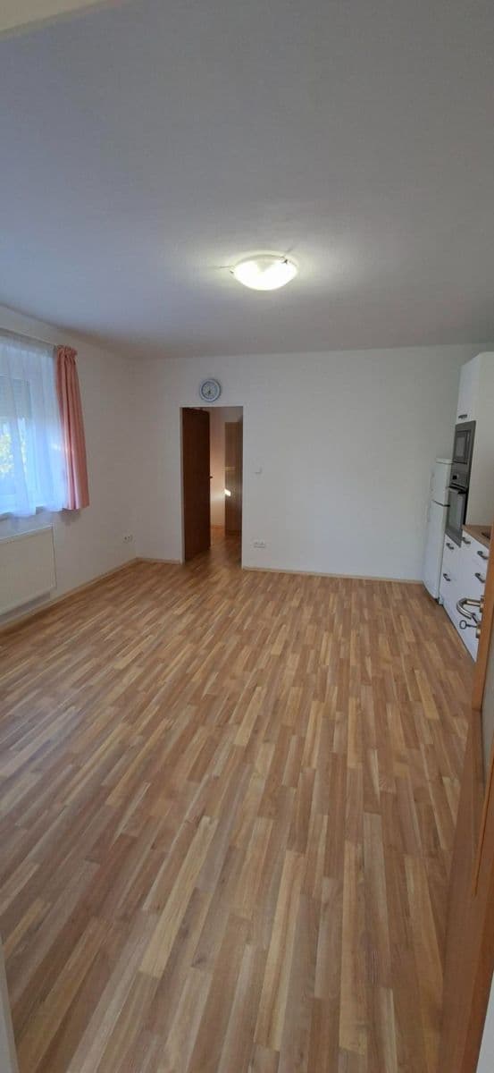 1 bedroom with open-plan kitchen flat to rent, 42 m², Střední, Prague, Prague 1 bedroom with open-plan kitchen flat to rent, 42 m², Střední, Prague, Prague