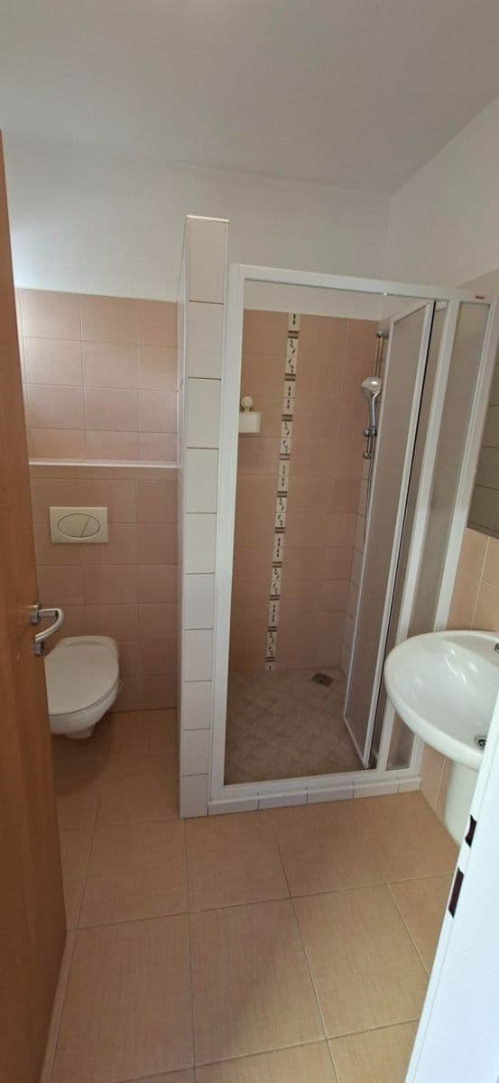 1 bedroom with open-plan kitchen flat to rent, 42 m², Střední, Prague, Prague 1 bedroom with open-plan kitchen flat to rent, 42 m², Střední, Prague, Prague