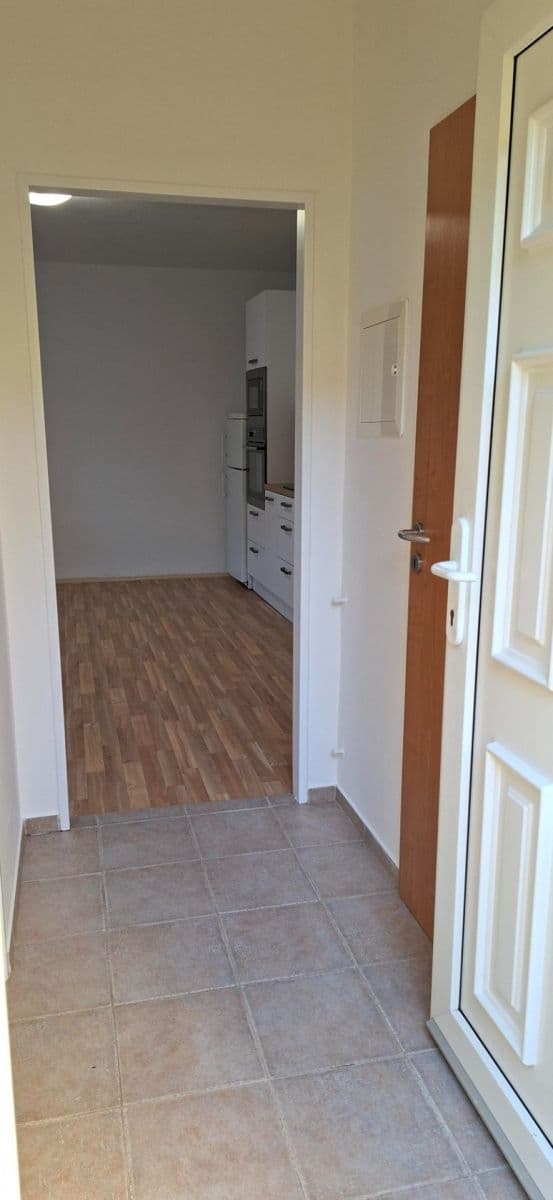 1 bedroom with open-plan kitchen flat to rent, 42 m², Střední, Prague, Prague 1 bedroom with open-plan kitchen flat to rent, 42 m², Střední, Prague, Prague