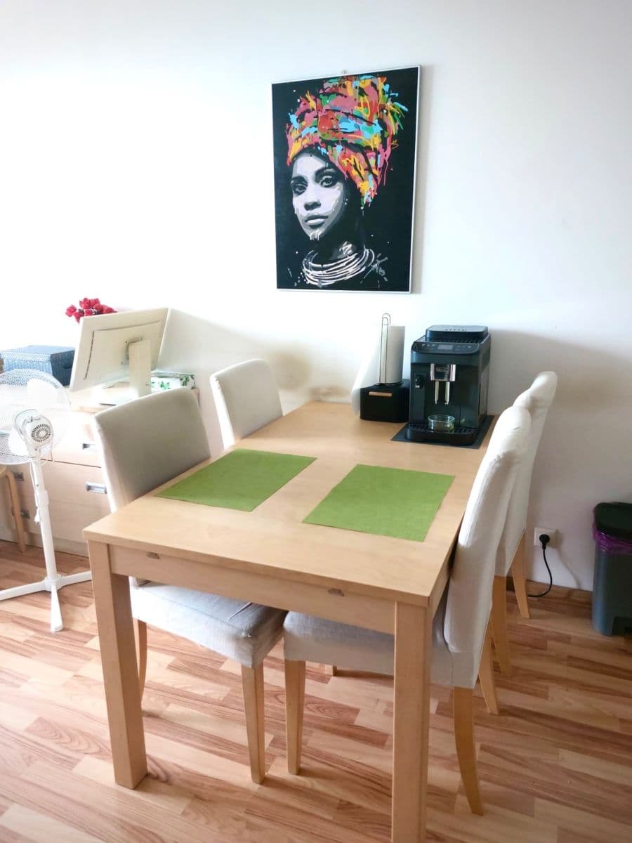 1 bedroom with open-plan kitchen flat to rent, 44 m², Freyova, Prague, Prague 1 bedroom with open-plan kitchen flat to rent, 44 m², Freyova, Prague, Prague
