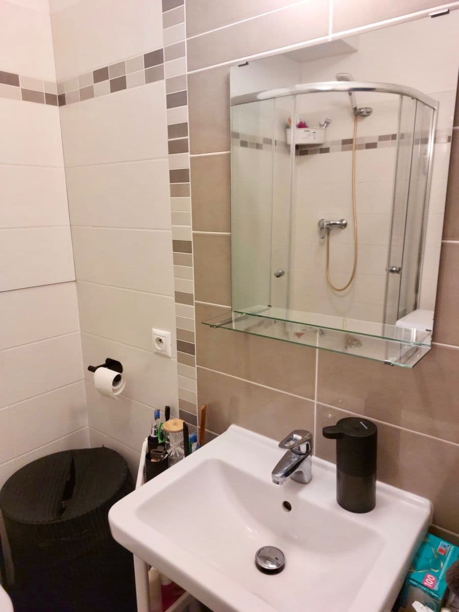 1 bedroom with open-plan kitchen flat to rent, 44 m², Freyova, Prague, Prague 1 bedroom with open-plan kitchen flat to rent, 44 m², Freyova, Prague, Prague