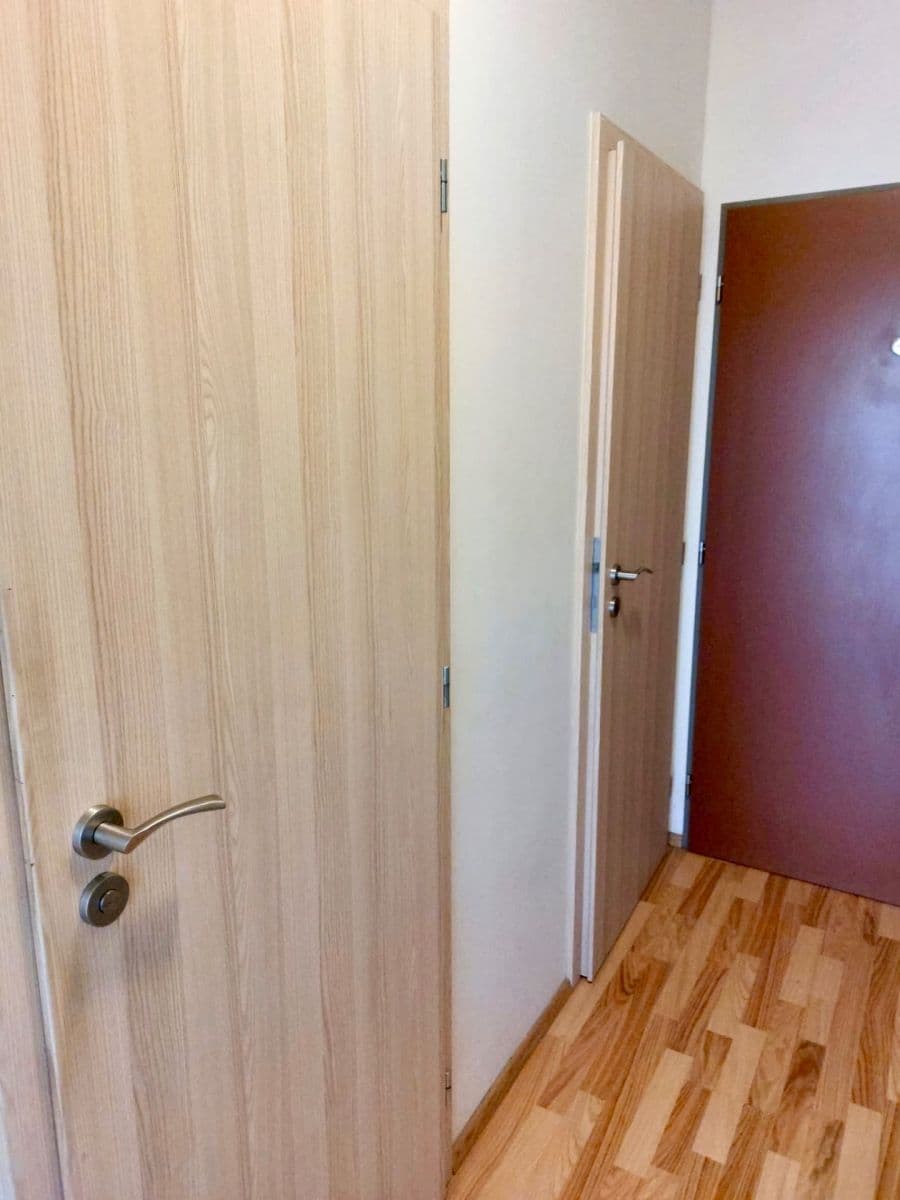 1 bedroom with open-plan kitchen flat to rent, 44 m², Freyova, Prague, Prague 1 bedroom with open-plan kitchen flat to rent, 44 m², Freyova, Prague, Prague