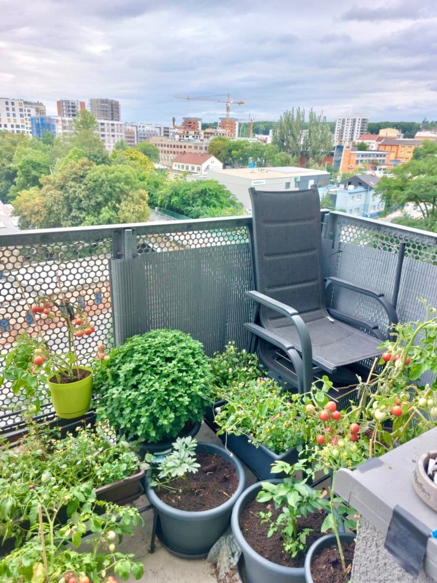 1 bedroom with open-plan kitchen flat to rent, 44 m², Freyova, Prague, Prague 1 bedroom with open-plan kitchen flat to rent, 44 m², Freyova, Prague, Prague
