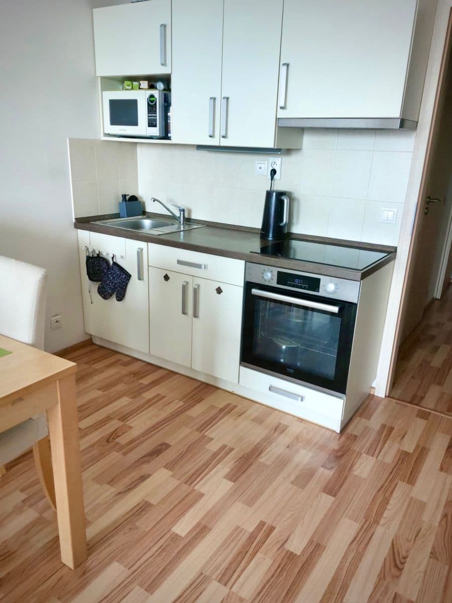 1 bedroom with open-plan kitchen flat to rent, 44 m², Freyova, Prague, Prague 1 bedroom with open-plan kitchen flat to rent, 44 m², Freyova, Prague, Prague