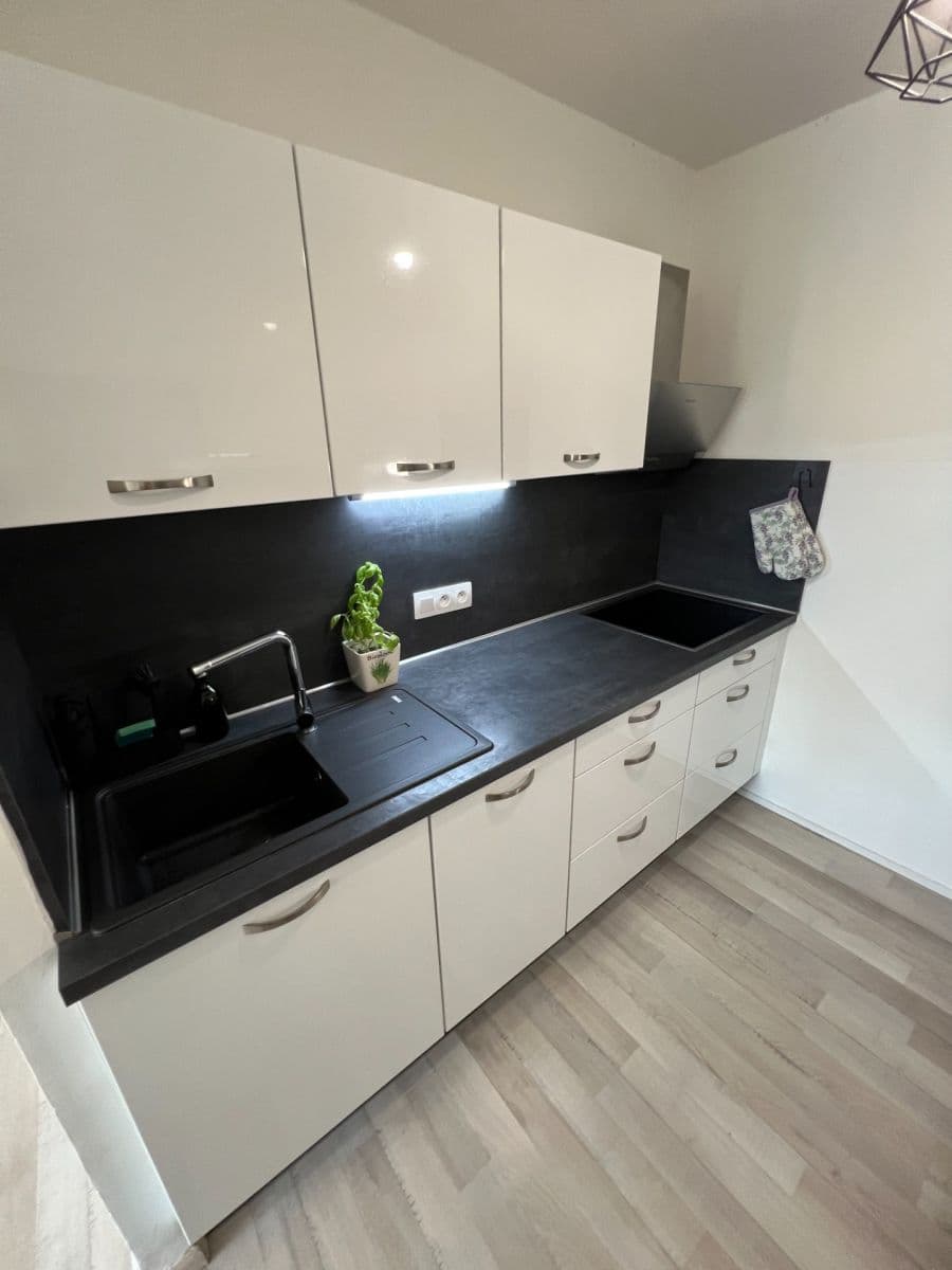 1 bedroom with open-plan kitchen flat to rent, 48 m², Malkovského, Prague, Prague 1 bedroom with open-plan kitchen flat to rent, 48 m², Malkovského, Prague, Prague