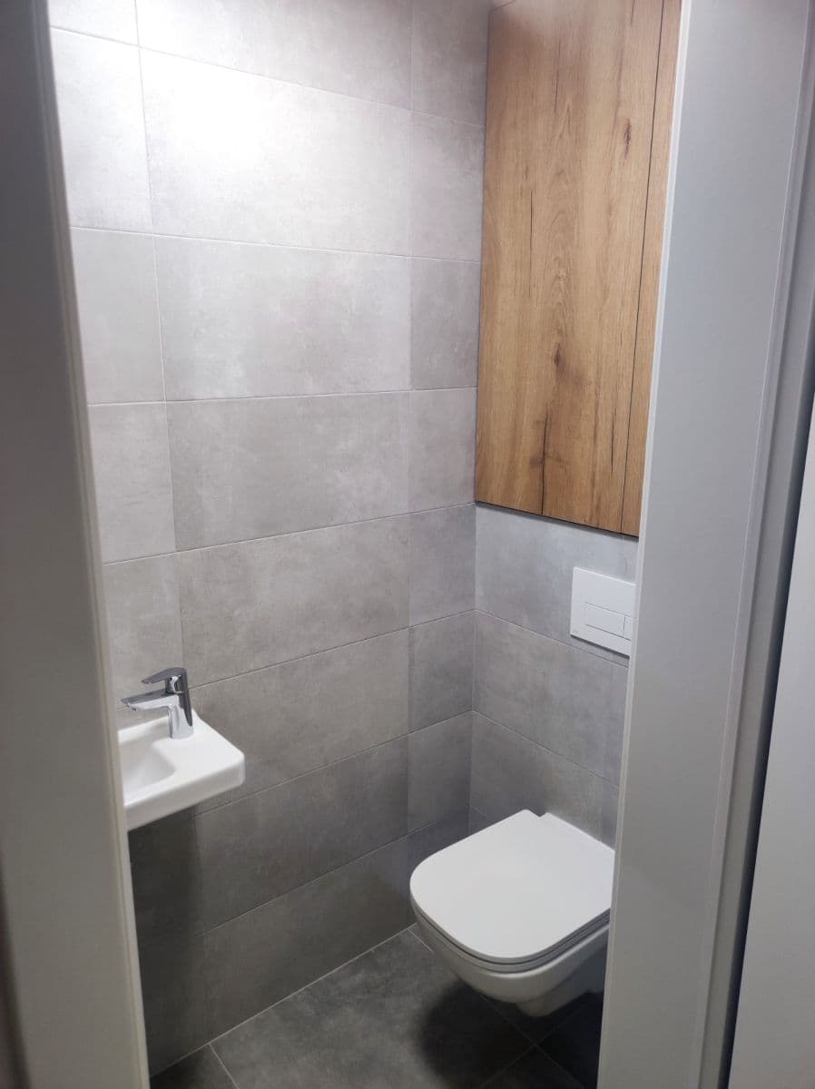 1 bedroom with open-plan kitchen flat to rent, 74 m², Bělohorská, Prague, Prague 1 bedroom with open-plan kitchen flat to rent, 74 m², Bělohorská, Prague, Prague