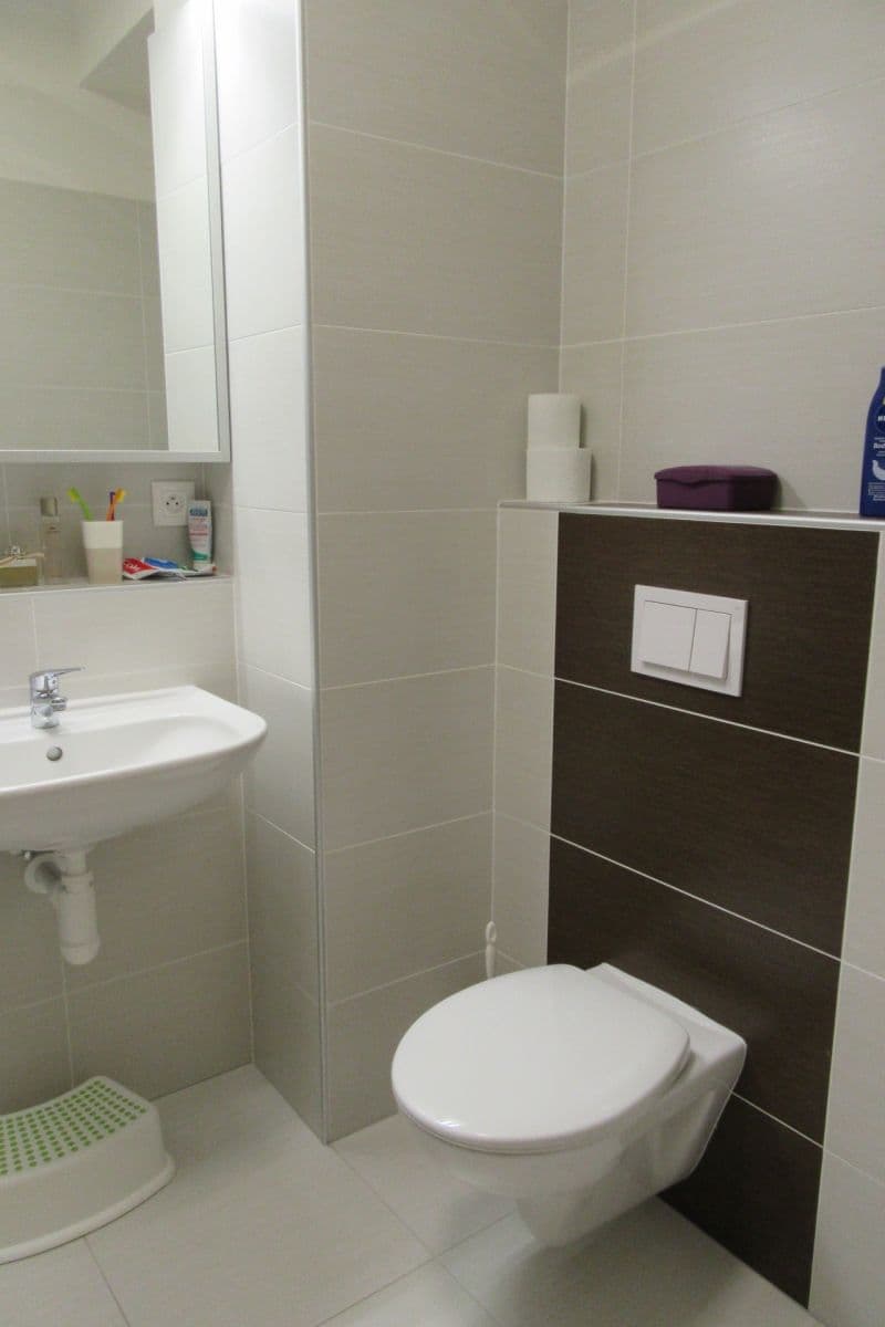 1 bedroom with open-plan kitchen flat to rent, 49 m², Bučkova, Brno, Jihomoravský Region 1 bedroom with open-plan kitchen flat to rent, 49 m², Bučkova, Brno, Jihomoravský Region