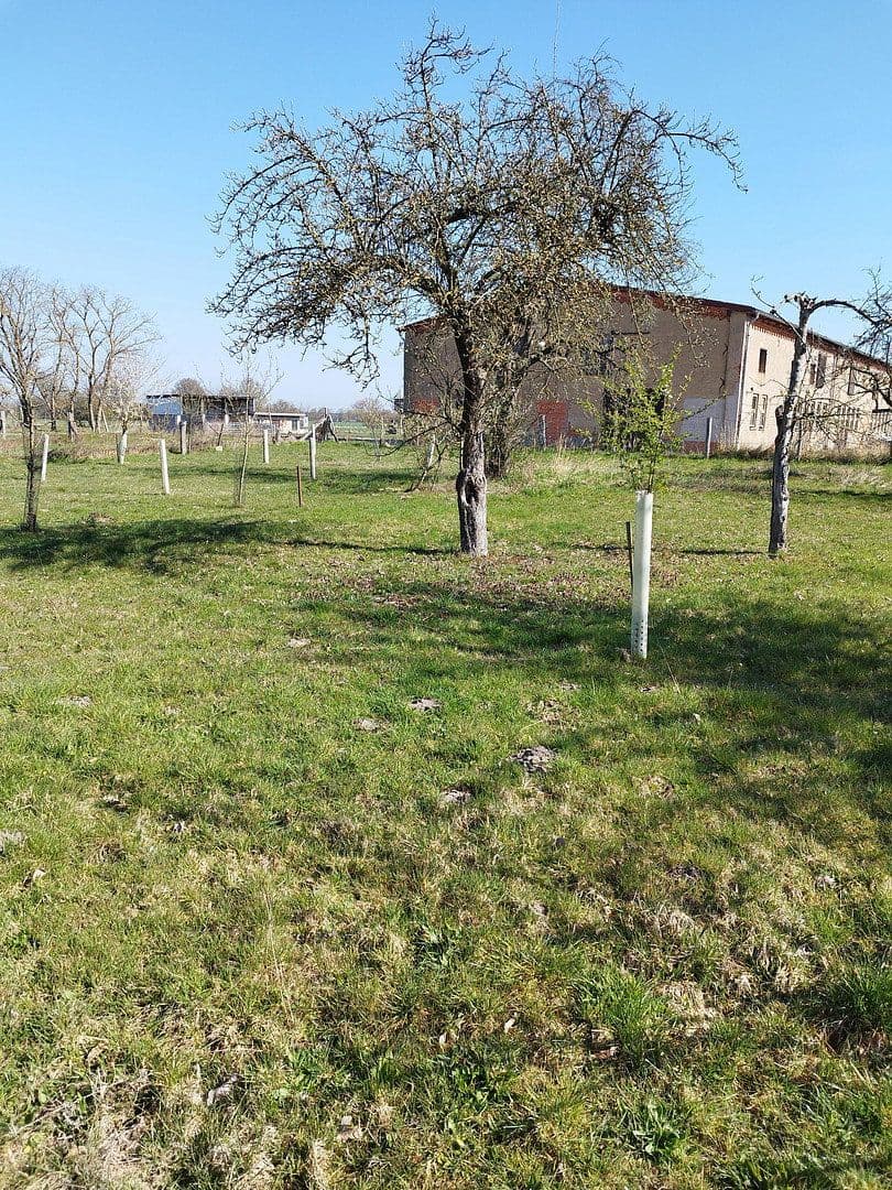 house for sale, 96 m², Osterburg, Saxony-Anhalt house for sale, 96 m², Osterburg, Saxony-Anhalt
