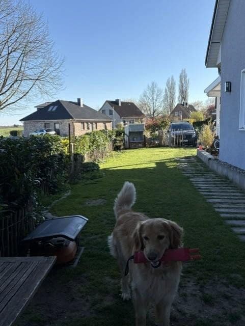 house for sale, 126 m², Hohenfelde, Schleswig-Holstein house for sale, 126 m², Hohenfelde, Schleswig-Holstein