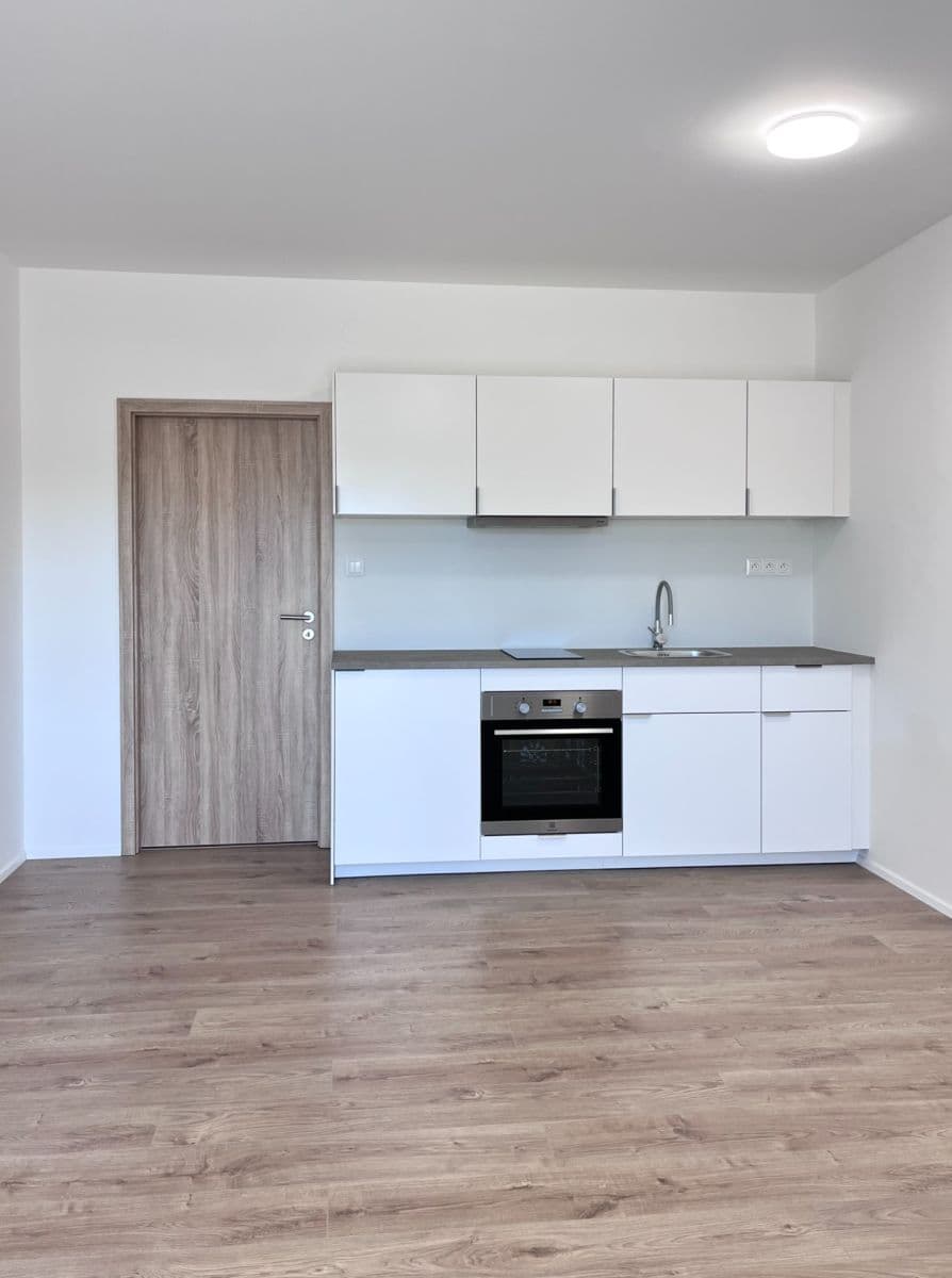 Studio flat to rent, 37 m², K Újezdu, Zbůch, Plzeňský Region Studio flat to rent, 37 m², K Újezdu, Zbůch, Plzeňský Region