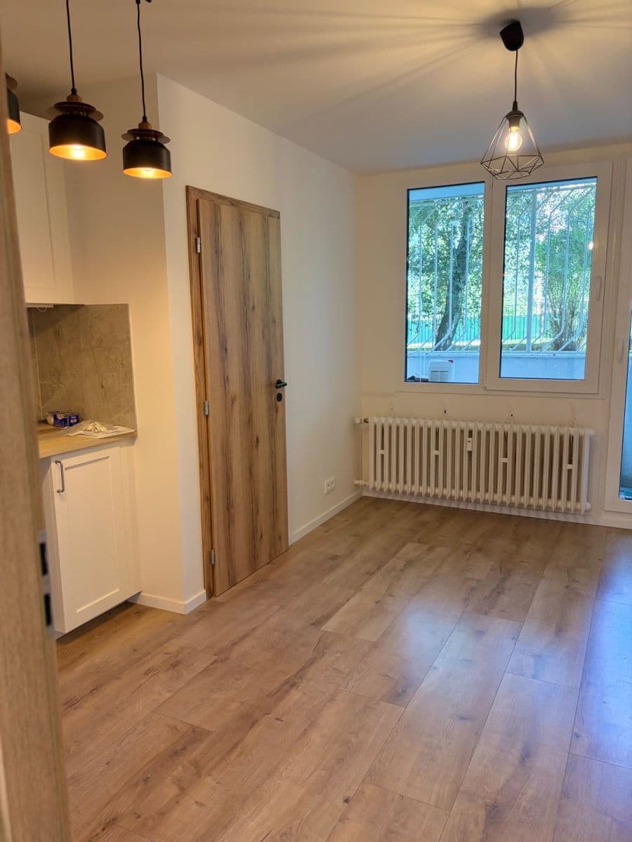 1 bedroom with open-plan kitchen flat for sale, 40 m², Štúrova, Prague, Prague 1 bedroom with open-plan kitchen flat for sale, 40 m², Štúrova, Prague, Prague