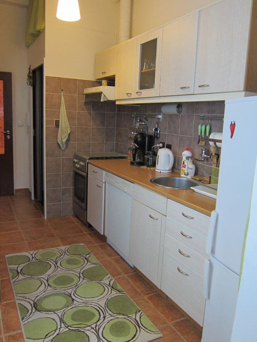 2 bedroom flat for sale, 50 m², Veverkova, Prague, Prague 2 bedroom flat for sale, 50 m², Veverkova, Prague, Prague
