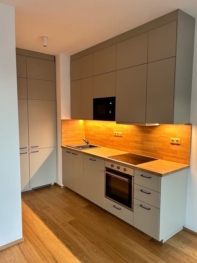 1 bedroom with open-plan kitchen flat to rent, 43 m², Hasilova, Prague, Prague 1 bedroom with open-plan kitchen flat to rent, 43 m², Hasilova, Prague, Prague