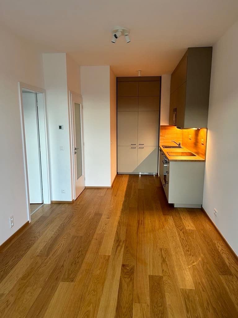 1 bedroom with open-plan kitchen flat to rent, 43 m², Hasilova, Prague, Prague 1 bedroom with open-plan kitchen flat to rent, 43 m², Hasilova, Prague, Prague