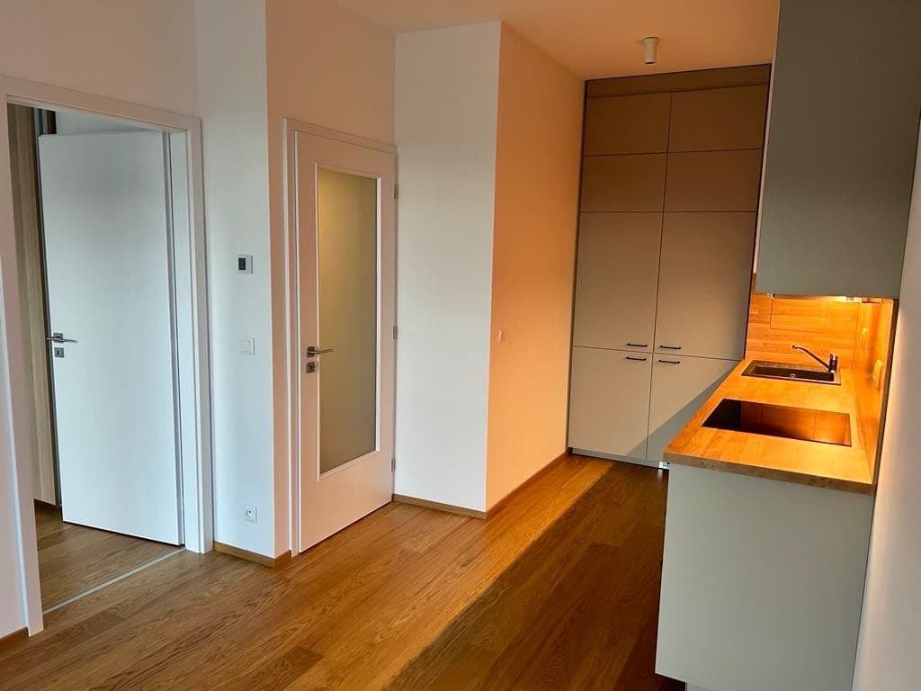 1 bedroom with open-plan kitchen flat to rent, 43 m², Hasilova, Prague, Prague 1 bedroom with open-plan kitchen flat to rent, 43 m², Hasilova, Prague, Prague
