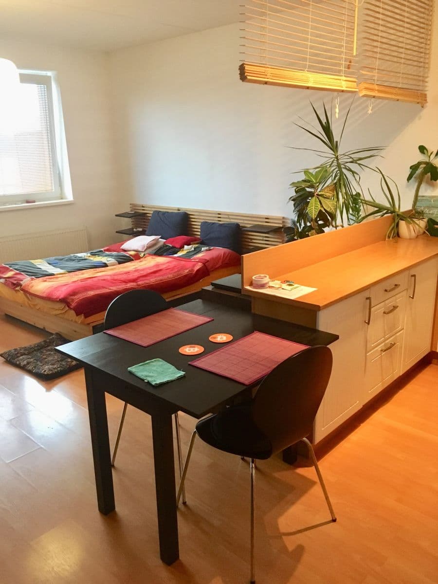 Studio flat to rent, 40 m², Bratislavská, Prague, Prague Studio flat to rent, 40 m², Bratislavská, Prague, Prague