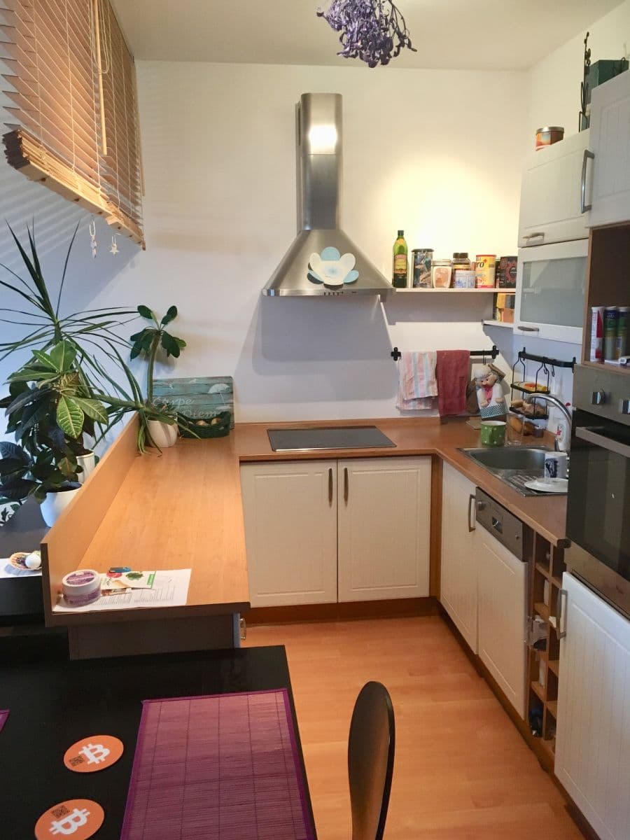 Studio flat to rent, 40 m², Bratislavská, Prague, Prague Studio flat to rent, 40 m², Bratislavská, Prague, Prague