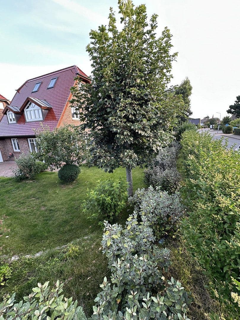 house for sale, 121 m², Sylt, Schleswig-Holstein house for sale, 121 m², Sylt, Schleswig-Holstein