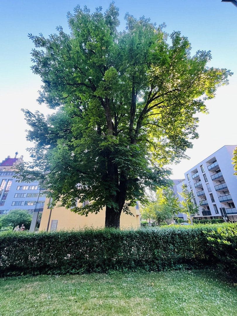2 bedroom flat for sale, 64 m², Wölflinstr. 3, Freiburg, Baden-Württemberg 2 bedroom flat for sale, 64 m², Wölflinstr. 3, Freiburg, Baden-Württemberg