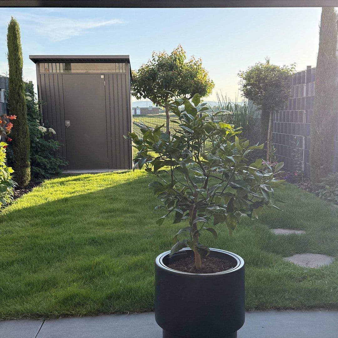 house for sale, 87 m², Frankenthal, Rhineland-Palatinate house for sale, 87 m², Frankenthal, Rhineland-Palatinate