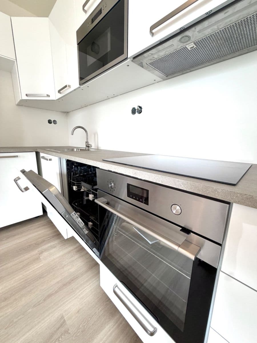 1 bedroom with open-plan kitchen flat to rent, 55 m², Divíškové, Prague, Prague 1 bedroom with open-plan kitchen flat to rent, 55 m², Divíškové, Prague, Prague