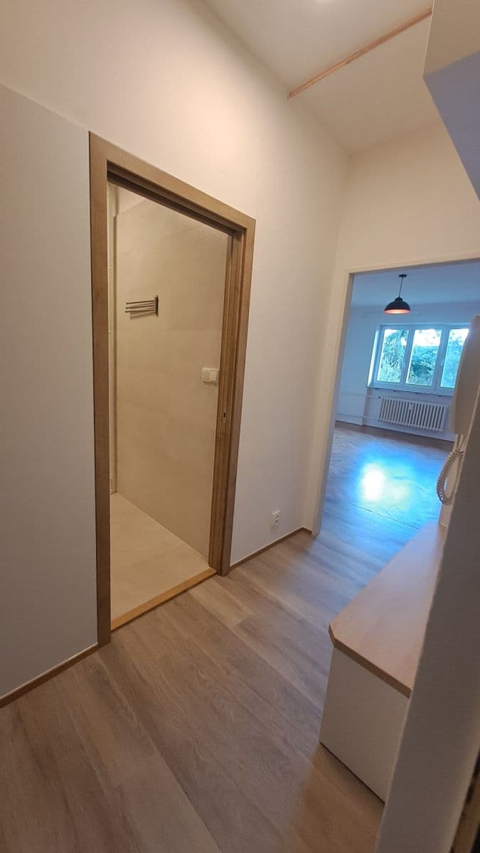 Studio flat to rent, 32 m², Bohuslava Martinů, Brno, Jihomoravský Region Studio flat to rent, 32 m², Bohuslava Martinů, Brno, Jihomoravský Region