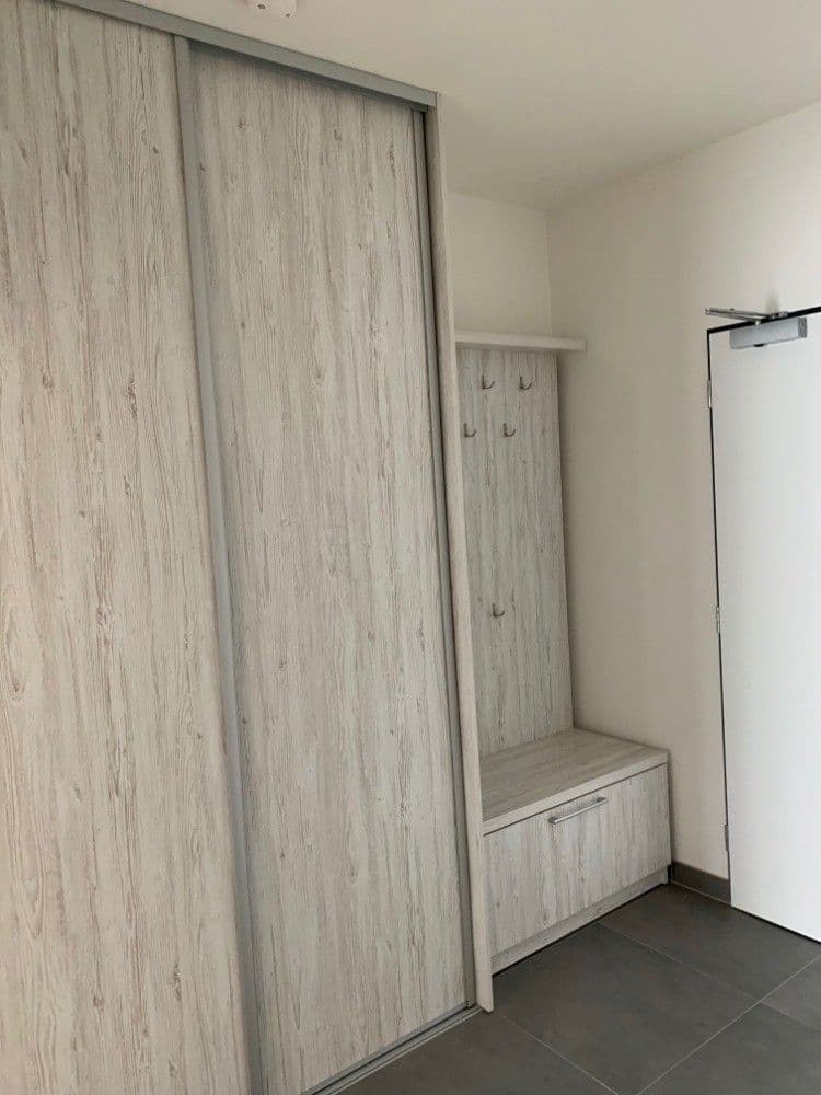 1 bedroom with open-plan kitchen flat to rent, 56 m², Nekvasilova, Prague, Prague 1 bedroom with open-plan kitchen flat to rent, 56 m², Nekvasilova, Prague, Prague