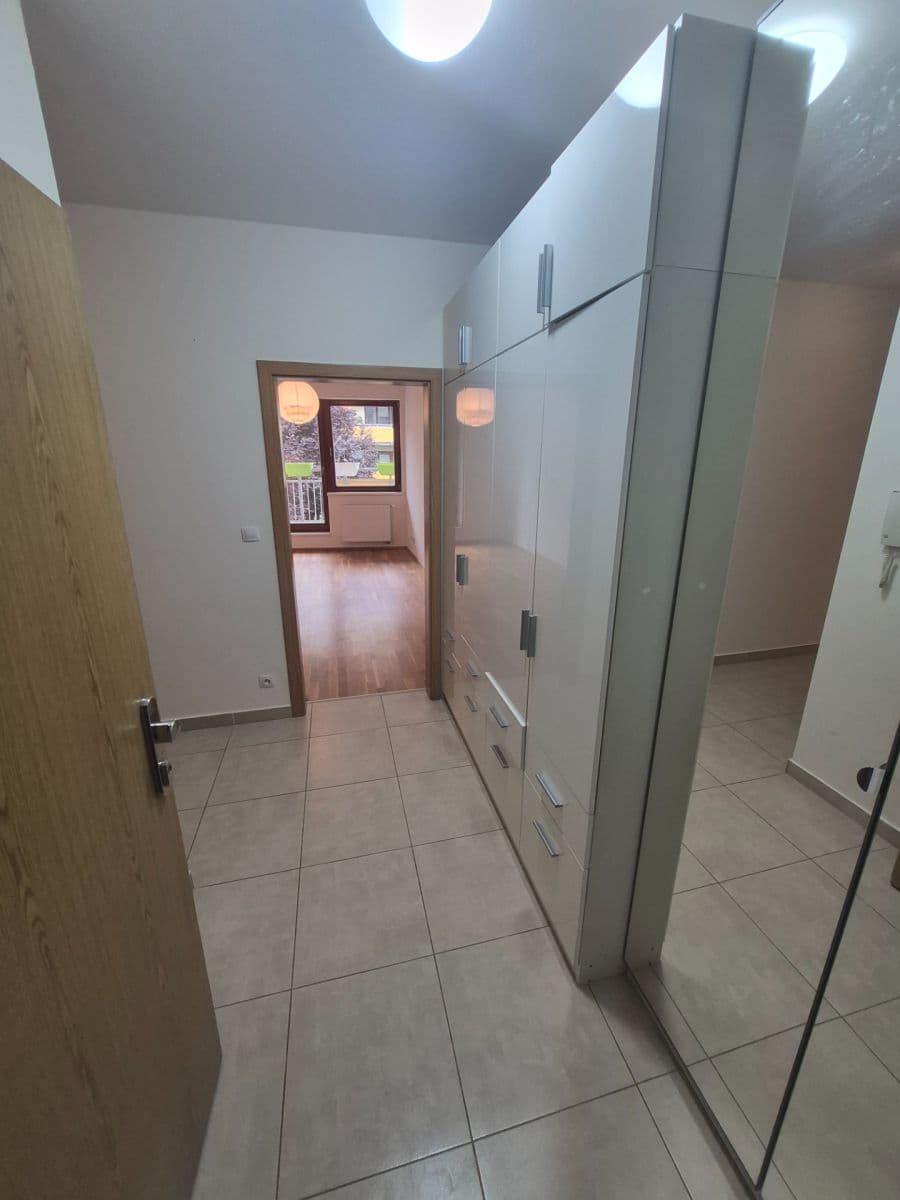 1 bedroom with open-plan kitchen flat to rent, 63 m², Harlacherova, Prague, Prague 1 bedroom with open-plan kitchen flat to rent, 63 m², Harlacherova, Prague, Prague