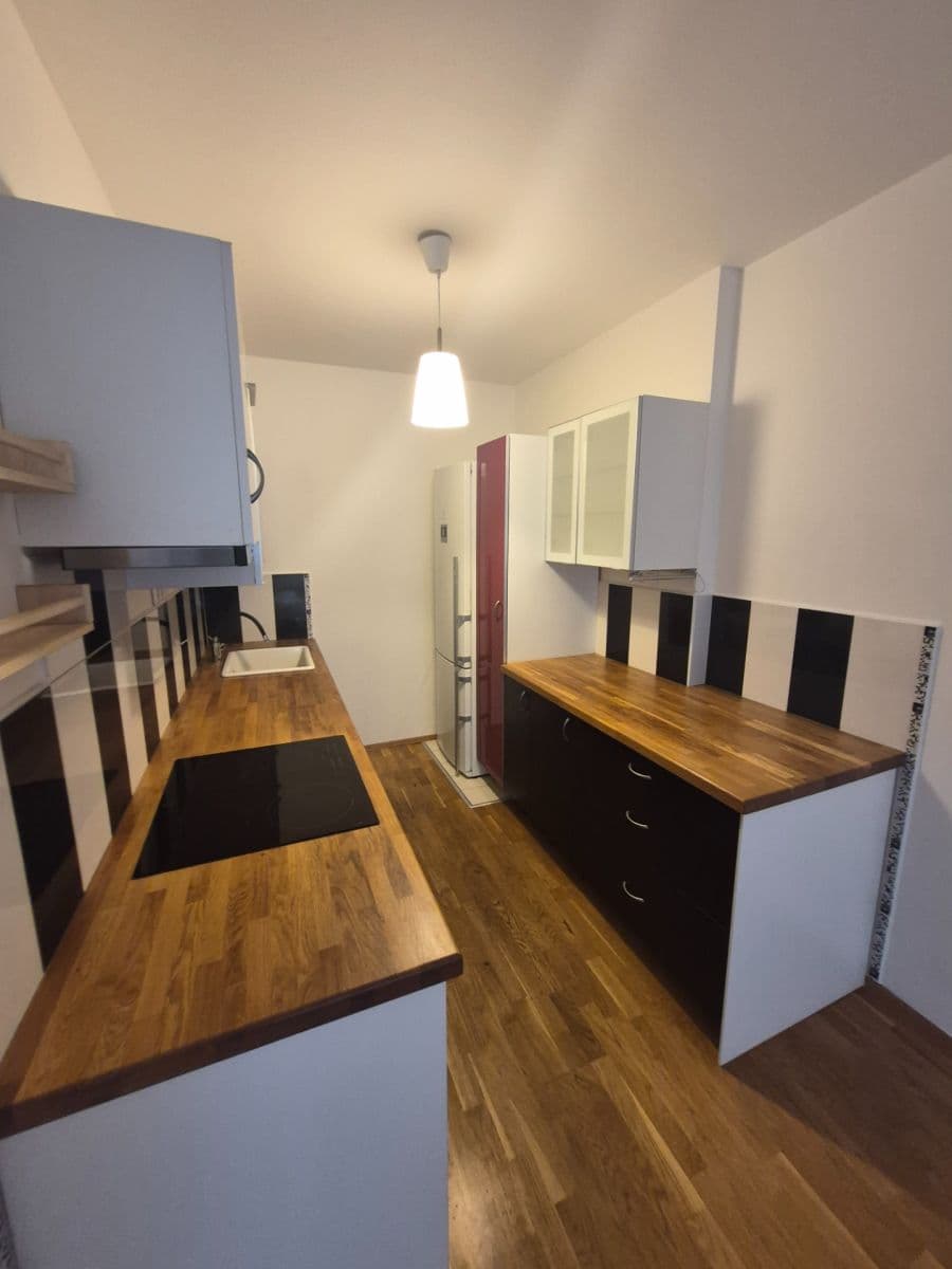 1 bedroom with open-plan kitchen flat to rent, 63 m², Harlacherova, Prague, Prague 1 bedroom with open-plan kitchen flat to rent, 63 m², Harlacherova, Prague, Prague