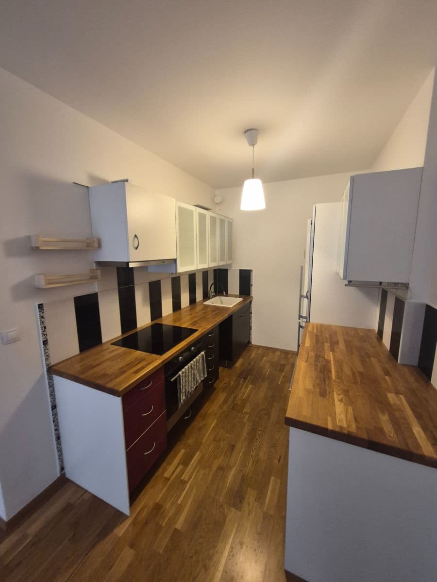 1 bedroom with open-plan kitchen flat to rent, 63 m², Harlacherova, Prague, Prague 1 bedroom with open-plan kitchen flat to rent, 63 m², Harlacherova, Prague, Prague
